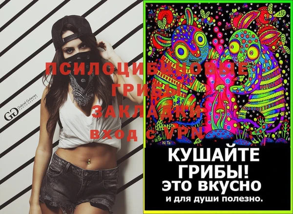 гидра Белоозёрский