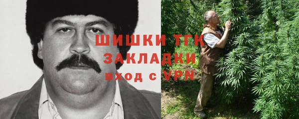 твердый Богородицк