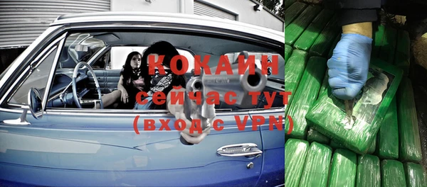шишки Богданович